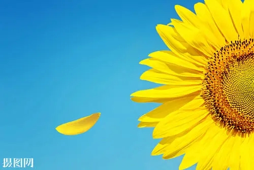 手机尾号什么数字最好?